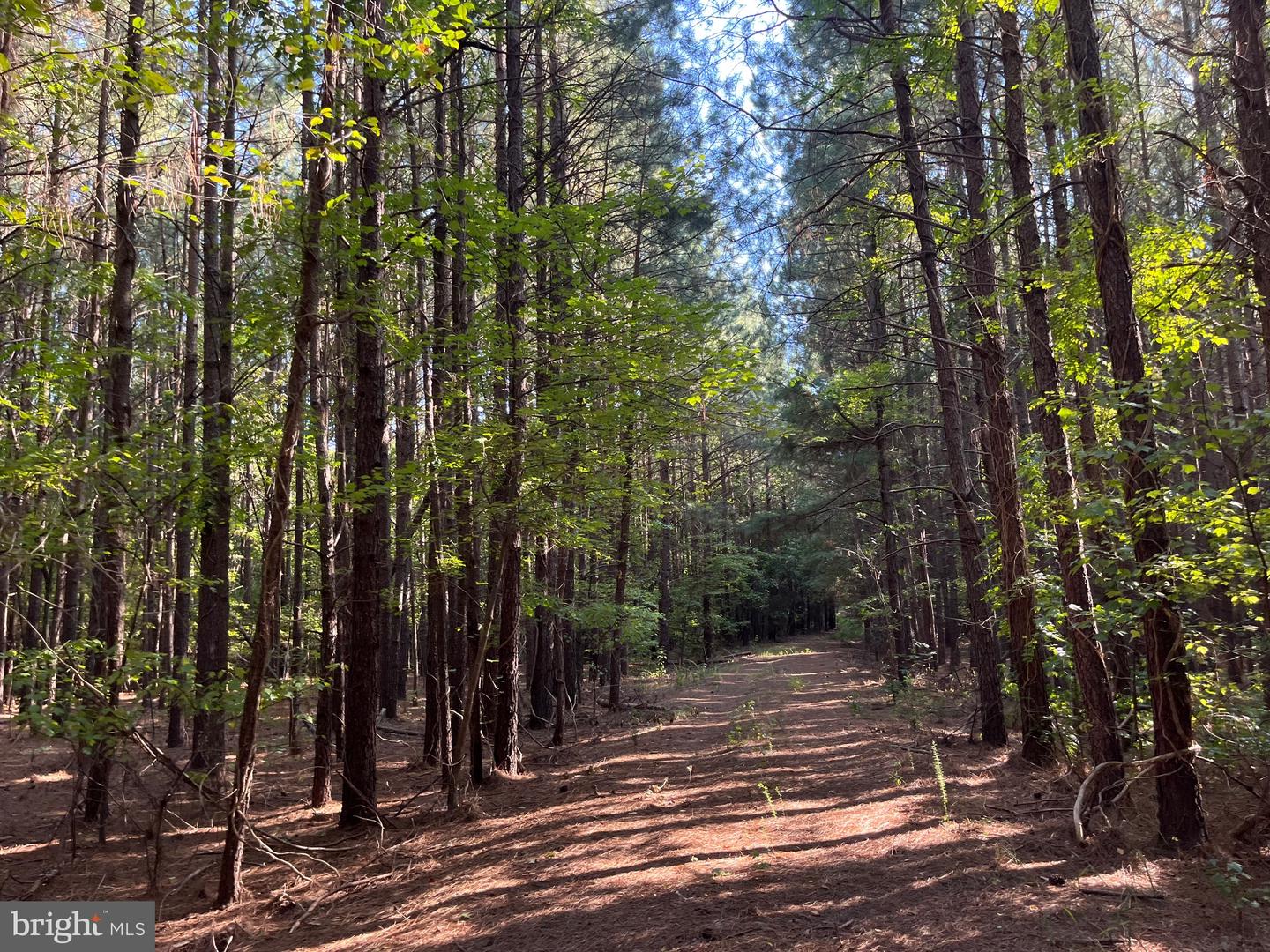 1 TBD RICEVILLE RD, GRETNA, Virginia 24557, ,Land,For sale,1 TBD RICEVILLE RD,VAPI2000086 MLS # VAPI2000086