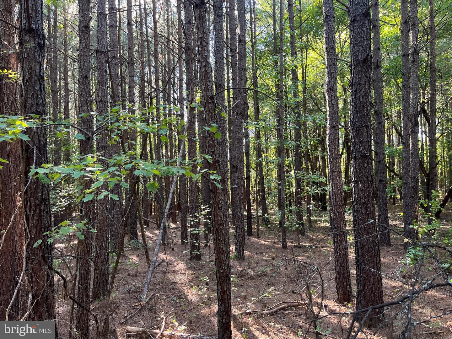 1 TBD RICEVILLE RD, GRETNA, Virginia 24557, ,Land,For sale,1 TBD RICEVILLE RD,VAPI2000086 MLS # VAPI2000086