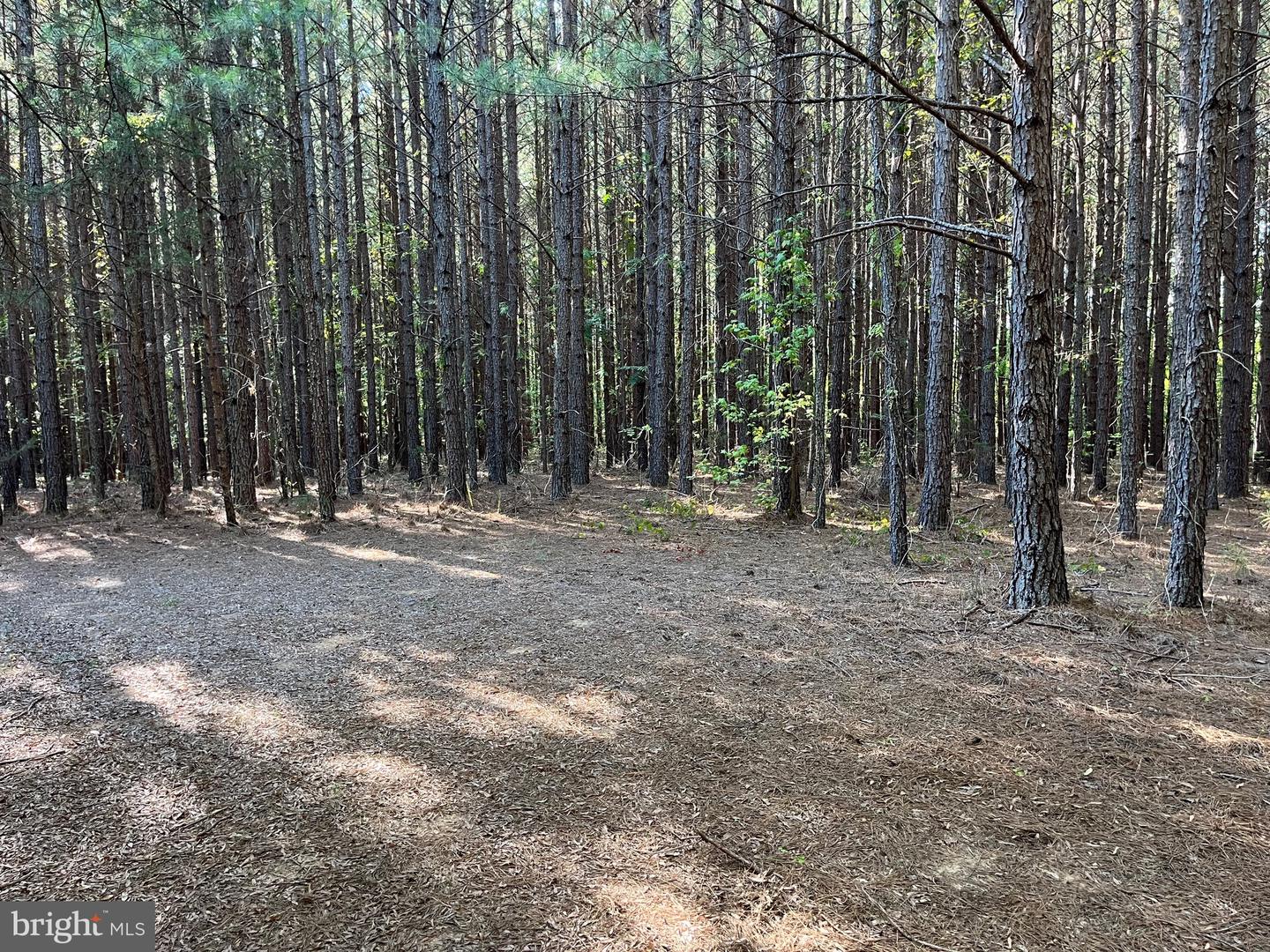 1 TBD RICEVILLE RD, GRETNA, Virginia 24557, ,Land,For sale,1 TBD RICEVILLE RD,VAPI2000086 MLS # VAPI2000086