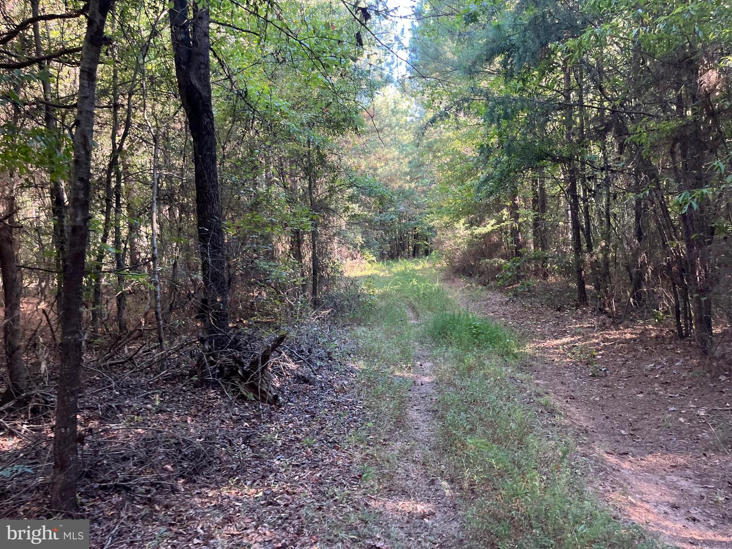 1 TBD RICEVILLE RD, GRETNA, Virginia 24557, ,Land,For sale,1 TBD RICEVILLE RD,VAPI2000086 MLS # VAPI2000086
