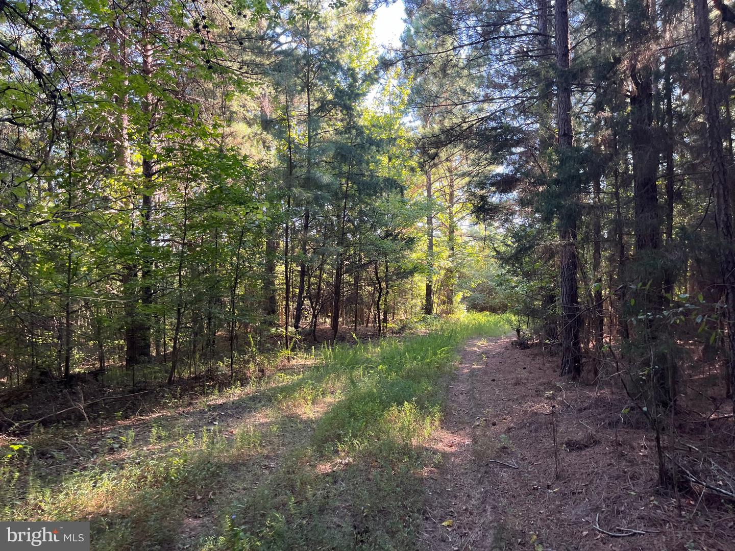 1 TBD RICEVILLE RD, GRETNA, Virginia 24557, ,Land,For sale,1 TBD RICEVILLE RD,VAPI2000086 MLS # VAPI2000086