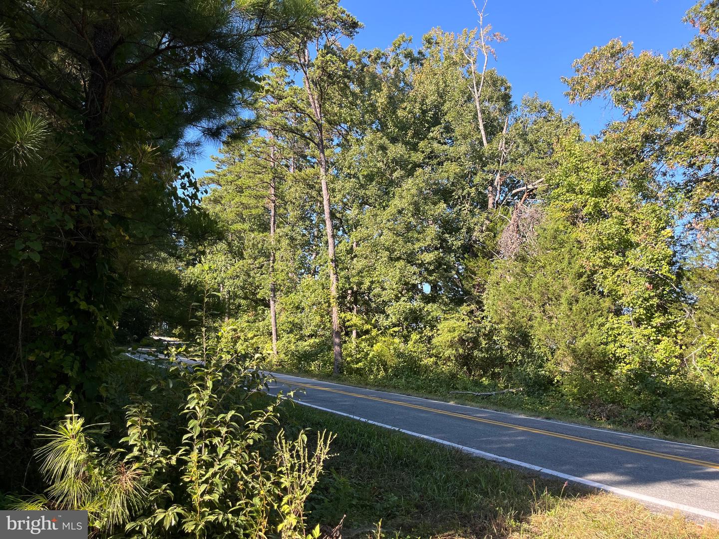 1 TBD RICEVILLE RD, GRETNA, Virginia 24557, ,Land,For sale,1 TBD RICEVILLE RD,VAPI2000086 MLS # VAPI2000086