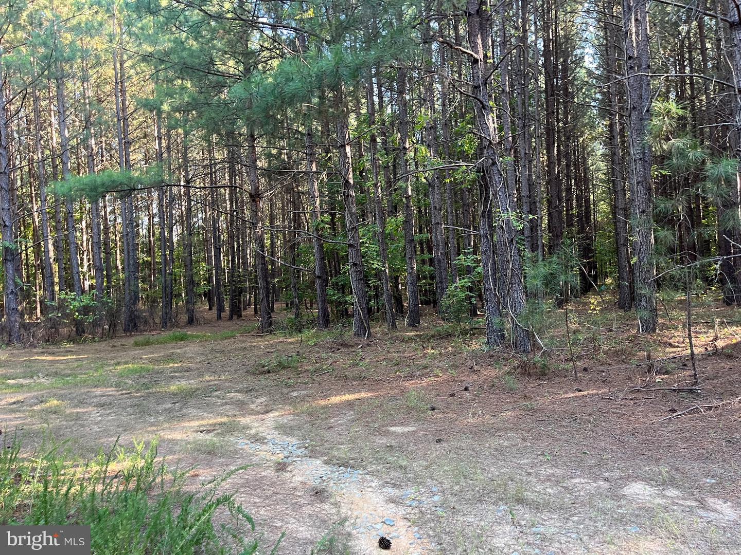 1 TBD RICEVILLE RD, GRETNA, Virginia 24557, ,Land,For sale,1 TBD RICEVILLE RD,VAPI2000086 MLS # VAPI2000086
