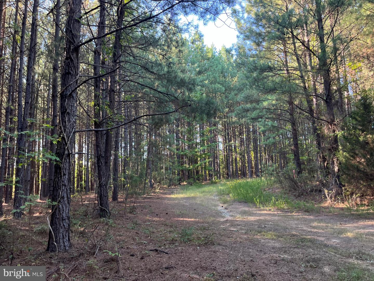 1 TBD RICEVILLE RD, GRETNA, Virginia 24557, ,Land,For sale,1 TBD RICEVILLE RD,VAPI2000086 MLS # VAPI2000086