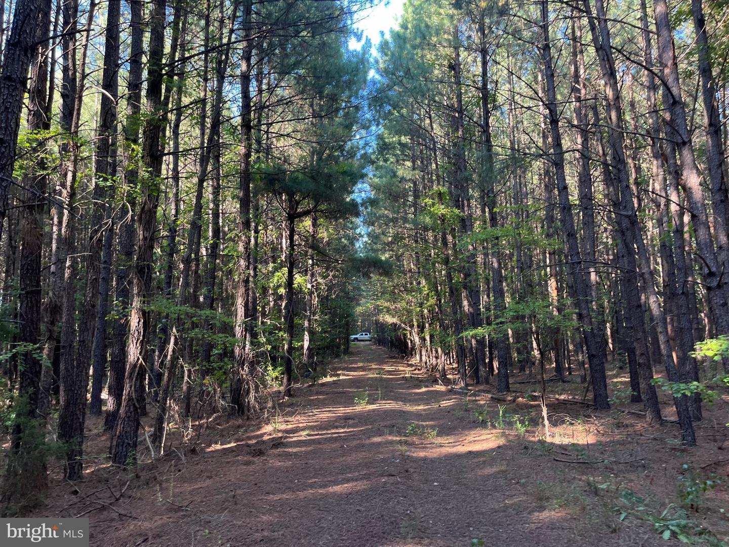 1 TBD RICEVILLE RD, GRETNA, Virginia 24557, ,Land,For sale,1 TBD RICEVILLE RD,VAPI2000086 MLS # VAPI2000086