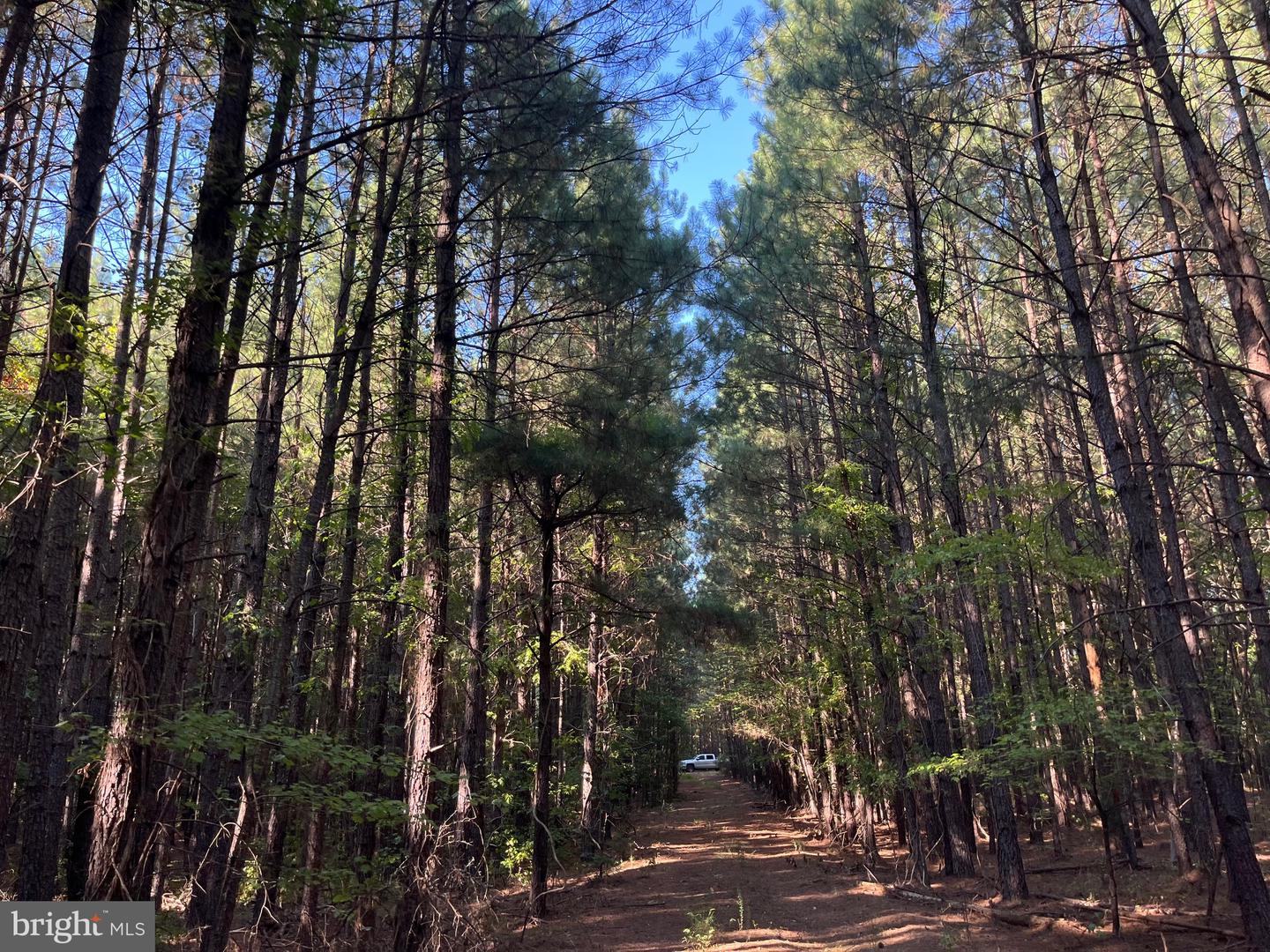 1 TBD RICEVILLE RD, GRETNA, Virginia 24557, ,Land,For sale,1 TBD RICEVILLE RD,VAPI2000086 MLS # VAPI2000086