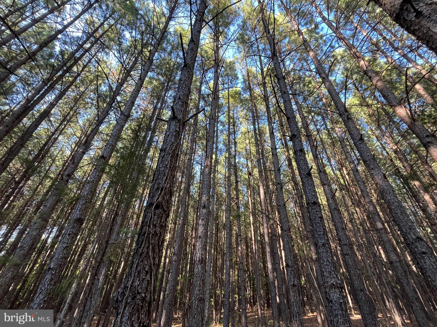1 TBD RICEVILLE RD, GRETNA, Virginia 24557, ,Land,For sale,1 TBD RICEVILLE RD,VAPI2000086 MLS # VAPI2000086