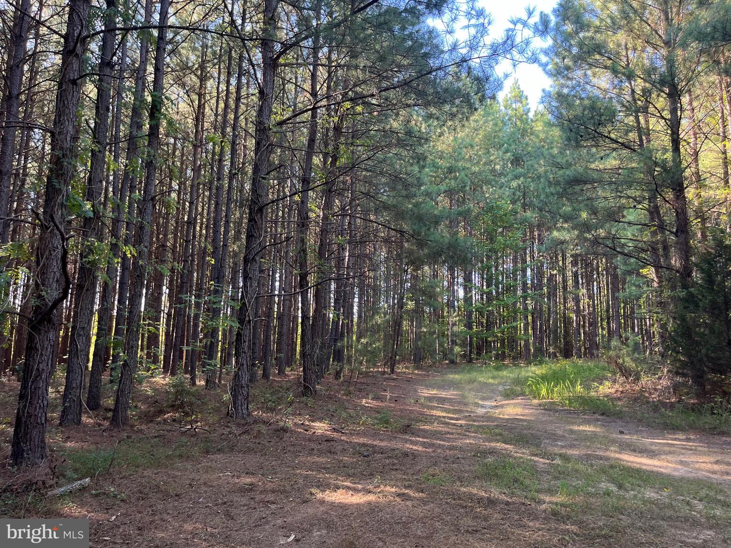 1 TBD RICEVILLE RD, GRETNA, Virginia 24557, ,Land,For sale,1 TBD RICEVILLE RD,VAPI2000086 MLS # VAPI2000086