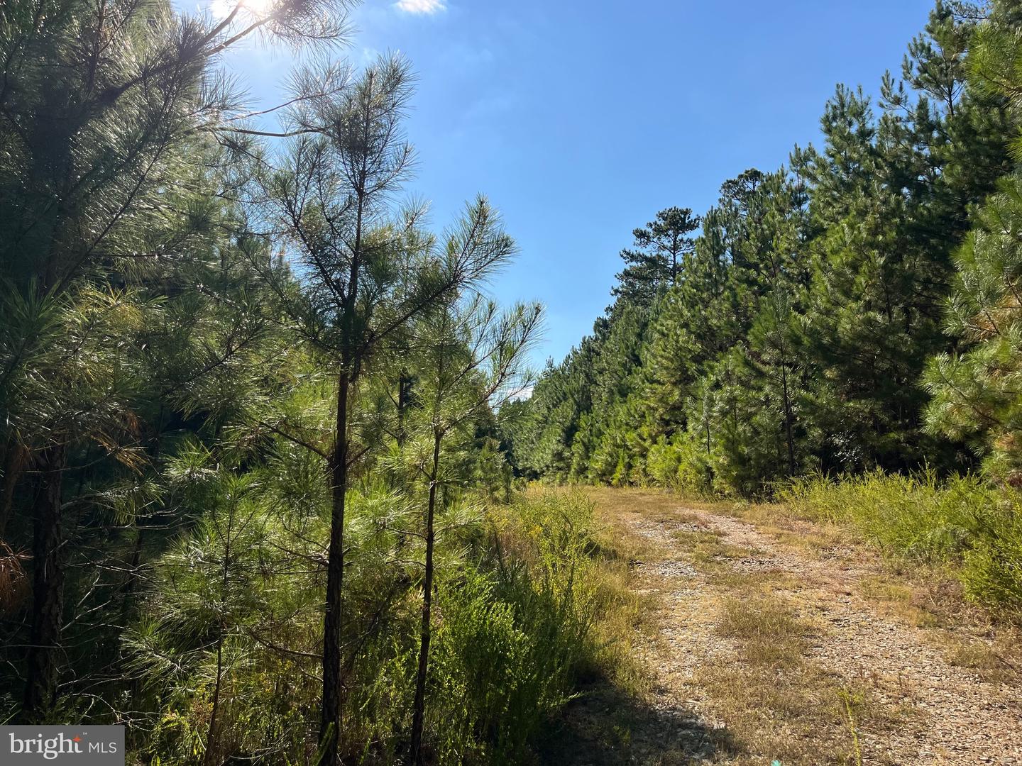 1 TBD RICEVILLE RD, GRETNA, Virginia 24557, ,Land,For sale,1 TBD RICEVILLE RD,VAPI2000086 MLS # VAPI2000086