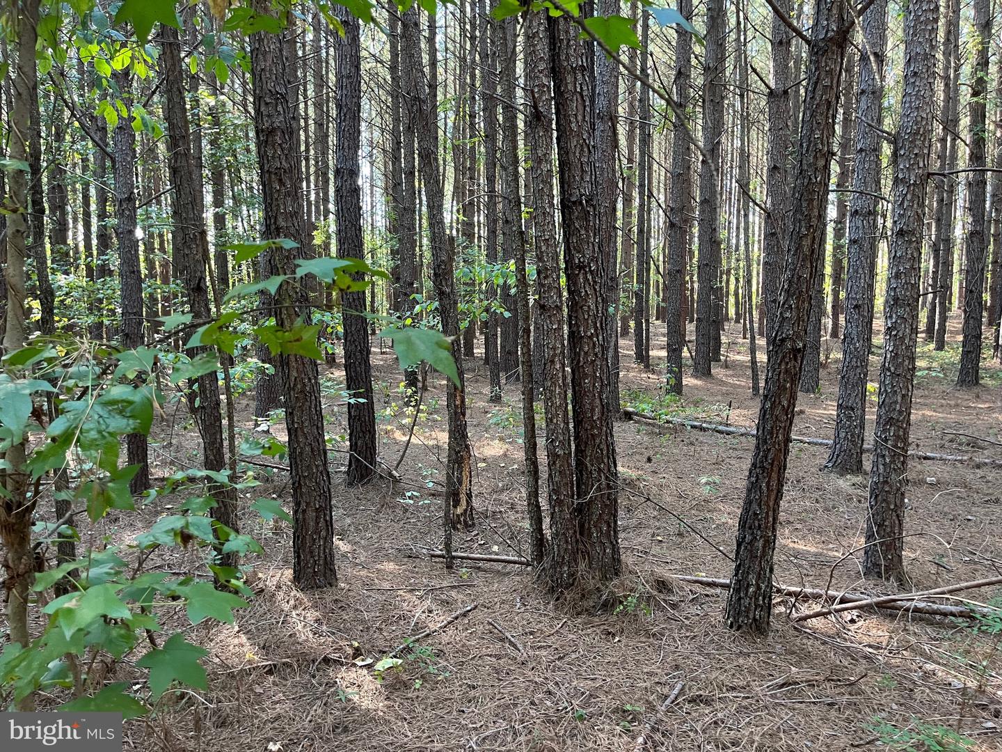1 TBD RICEVILLE RD, GRETNA, Virginia 24557, ,Land,For sale,1 TBD RICEVILLE RD,VAPI2000086 MLS # VAPI2000086