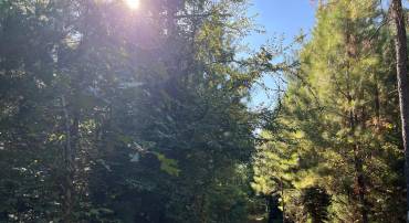 1 TBD RICEVILLE RD, GRETNA, Virginia 24557, ,Land,For sale,1 TBD RICEVILLE RD,VAPI2000086 MLS # VAPI2000086