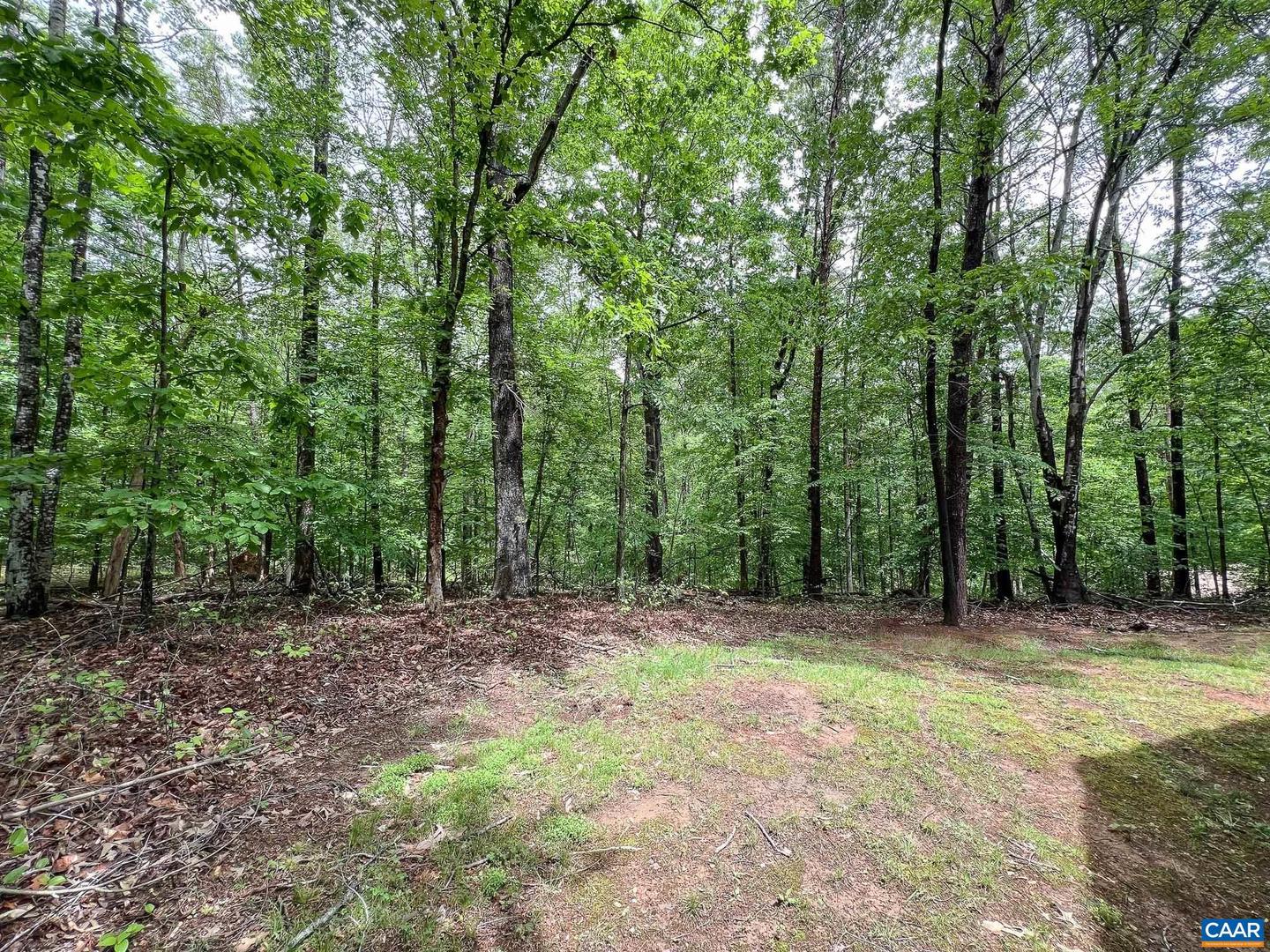 4190 BLUE FLINT LN, EARLYSVILLE, Virginia 22936, 3 Bedrooms Bedrooms, ,2 BathroomsBathrooms,Residential,For sale,4190 BLUE FLINT LN,664077 MLS # 664077