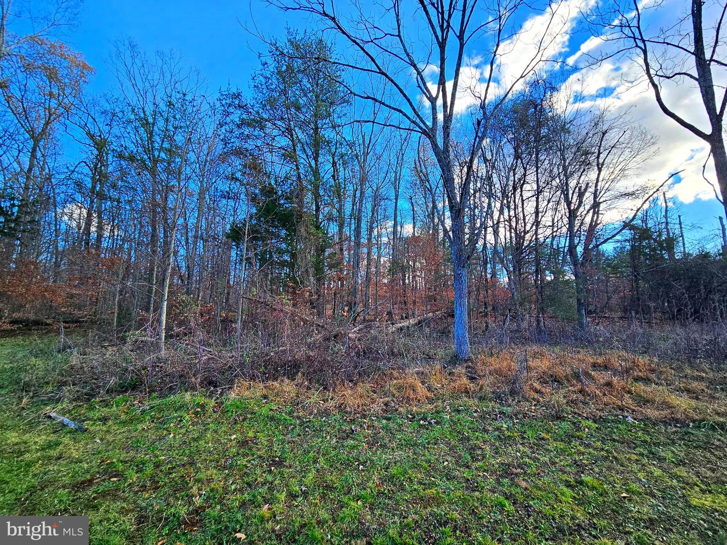 WAUGH RD, UNIONVILLE, Virginia 22567, ,Land,For sale,WAUGH RD,VAOR2009602 MLS # VAOR2009602