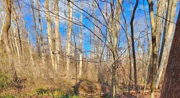 WAUGH RD, UNIONVILLE, Virginia 22567, ,Land,For sale,WAUGH RD,VAOR2009602 MLS # VAOR2009602