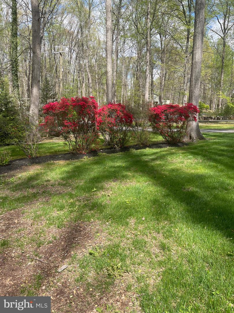 8807 DOUG DR, NOKESVILLE, Virginia 20181, 5 Bedrooms Bedrooms, ,3 BathroomsBathrooms,Residential,For sale,8807 DOUG DR,VAPW2093376 MLS # VAPW2093376