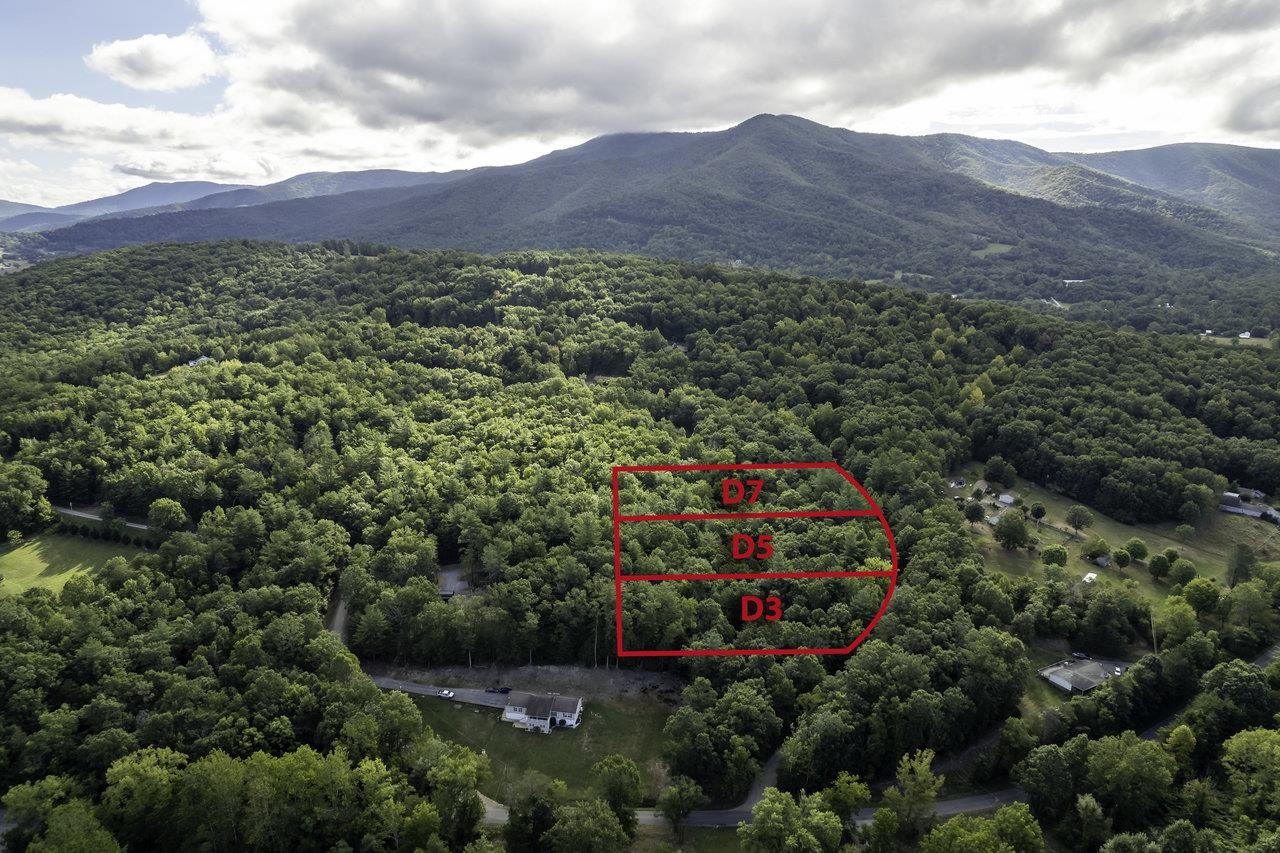 Lot D3 HOLIDAY HILL RD, LURAY, Virginia 22835, ,Land,Lot D3 HOLIDAY HILL RD,664081 MLS # 664081