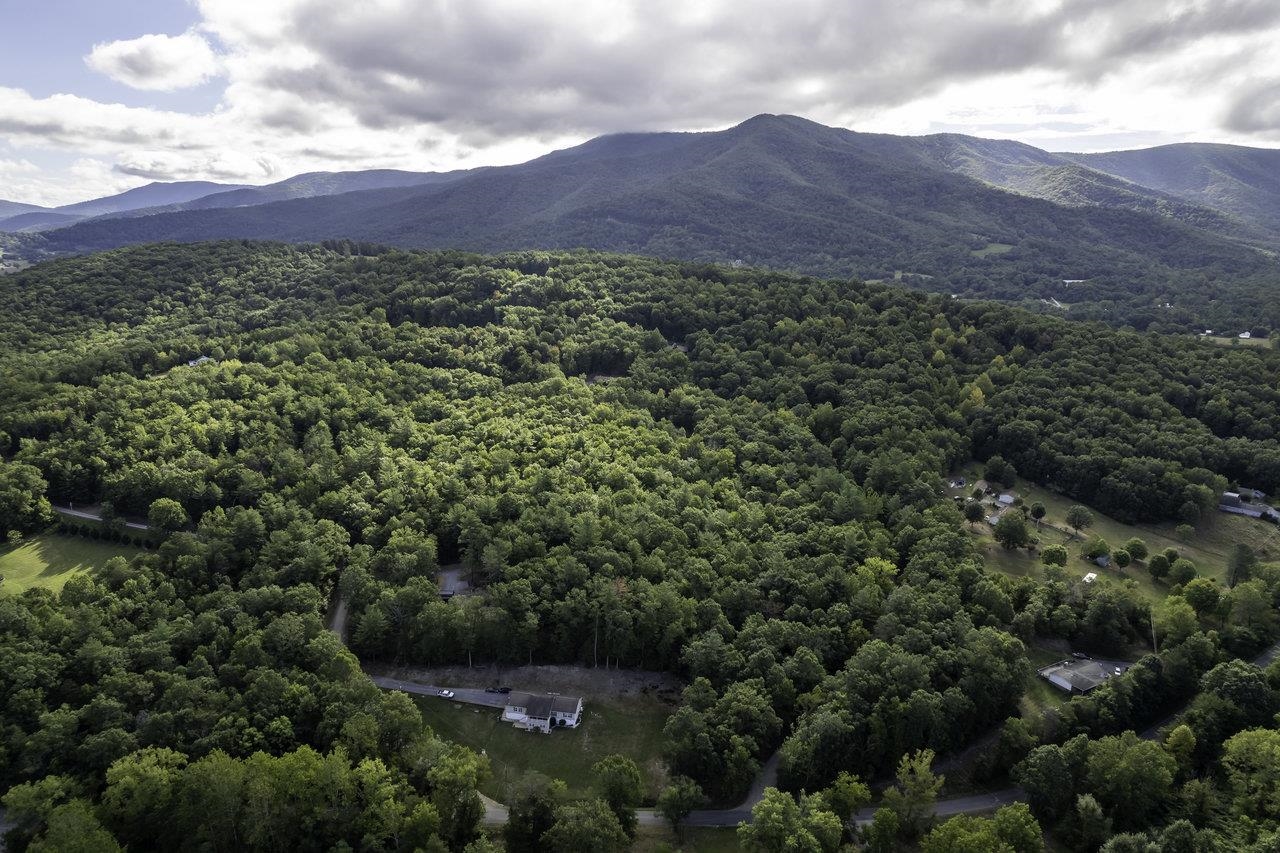 Lot D3 HOLIDAY HILL RD, LURAY, Virginia 22835, ,Land,Lot D3 HOLIDAY HILL RD,664081 MLS # 664081