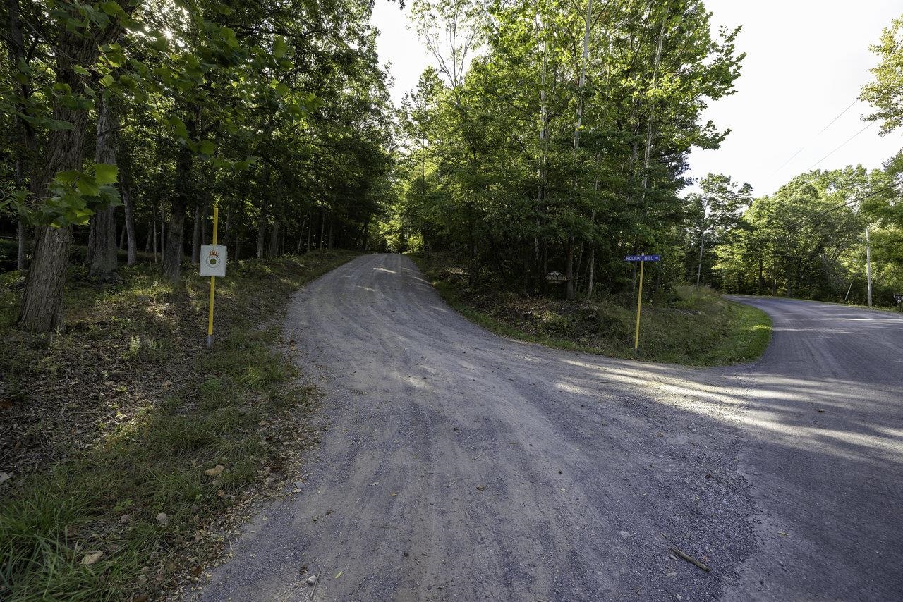 Lot D3 HOLIDAY HILL RD, LURAY, Virginia 22835, ,Land,Lot D3 HOLIDAY HILL RD,664081 MLS # 664081