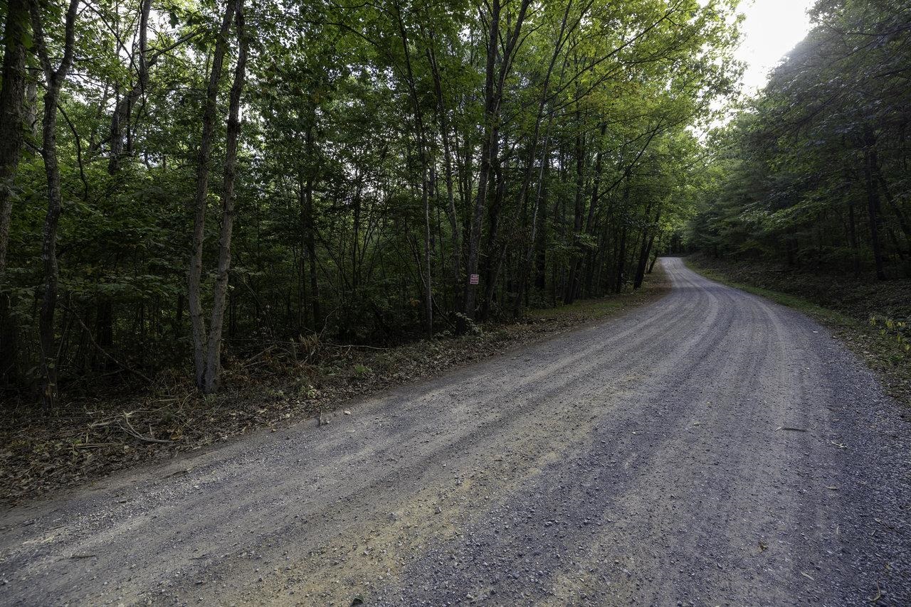 Lot D3 HOLIDAY HILL RD, LURAY, Virginia 22835, ,Land,Lot D3 HOLIDAY HILL RD,664081 MLS # 664081