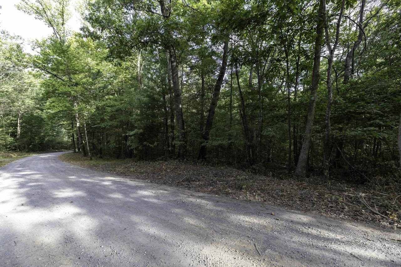 Lot D3 HOLIDAY HILL RD, LURAY, Virginia 22835, ,Land,Lot D3 HOLIDAY HILL RD,664081 MLS # 664081