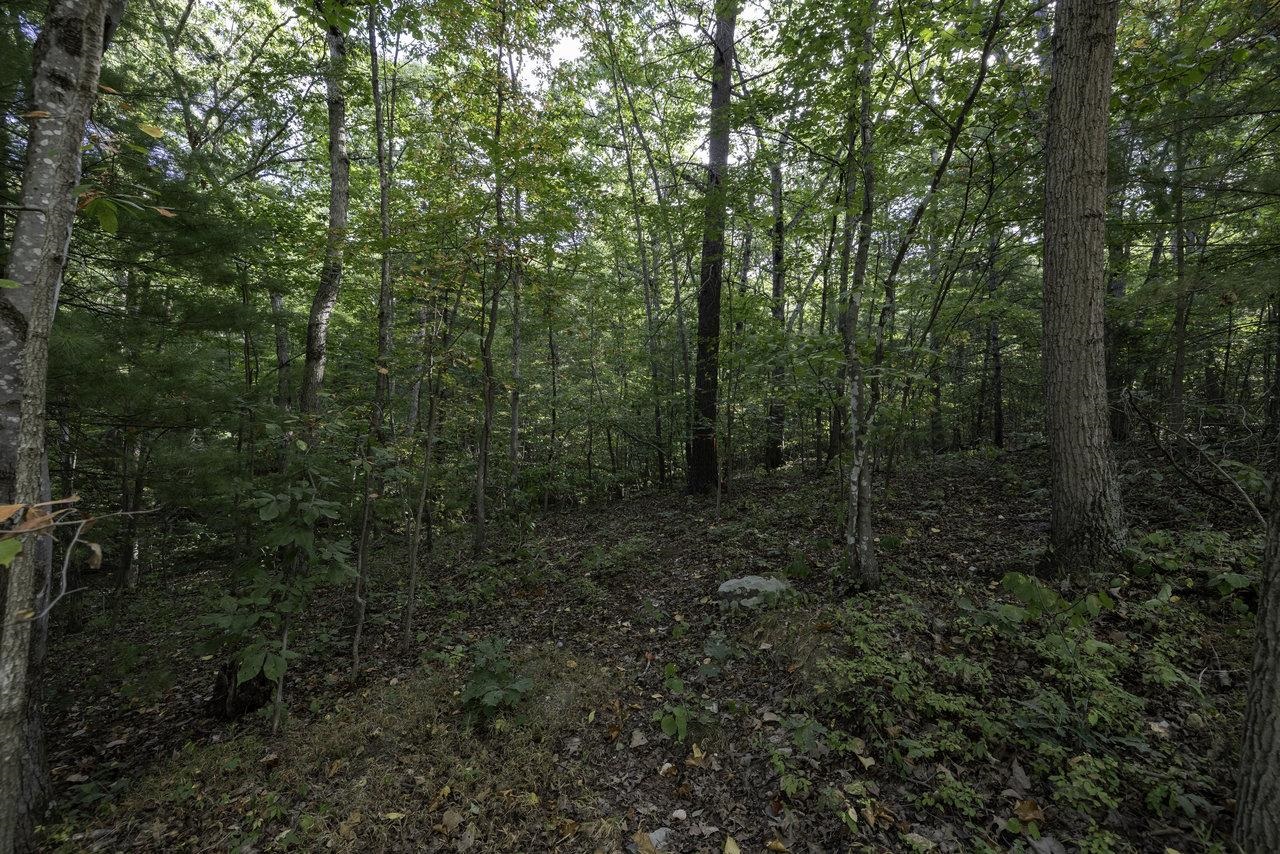 Lot D3 HOLIDAY HILL RD, LURAY, Virginia 22835, ,Land,Lot D3 HOLIDAY HILL RD,664081 MLS # 664081