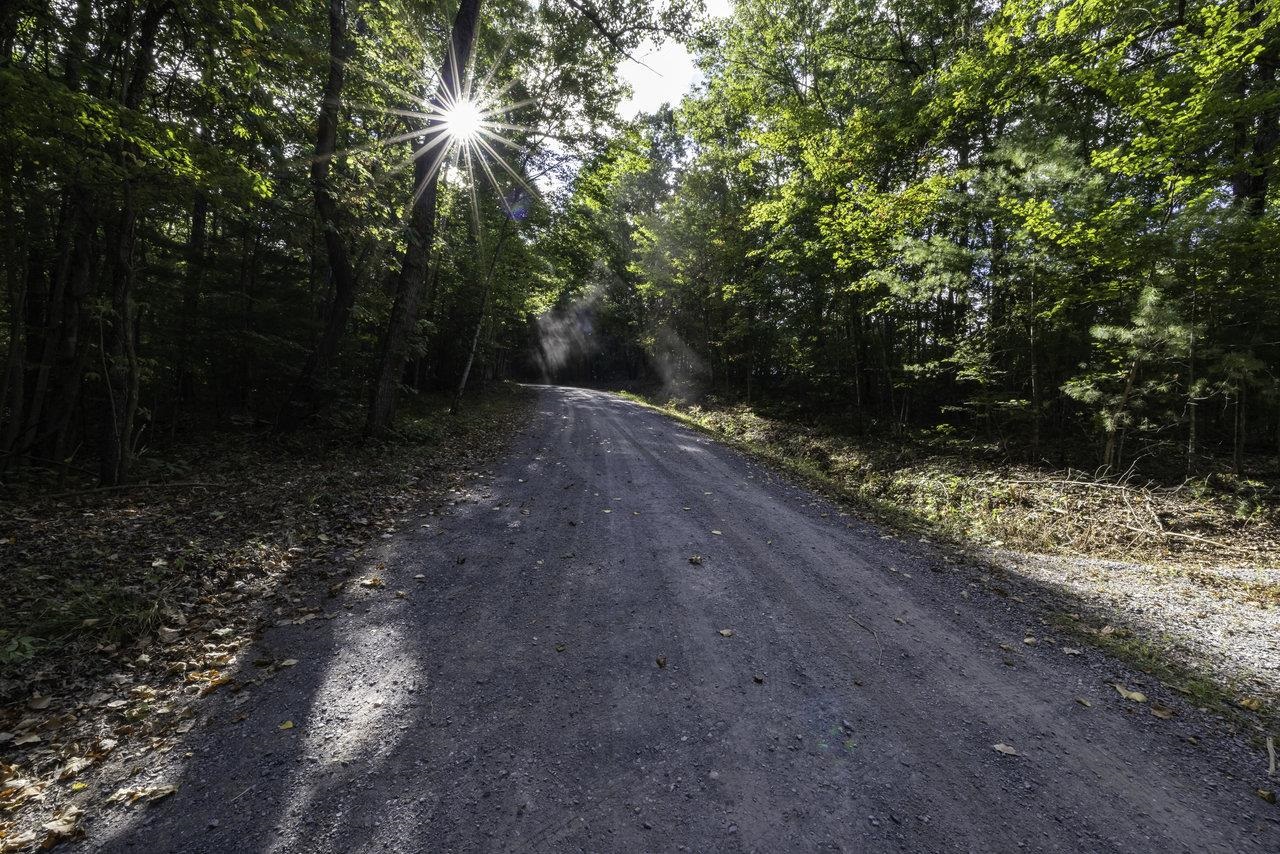 Lot D3 HOLIDAY HILL RD, LURAY, Virginia 22835, ,Land,Lot D3 HOLIDAY HILL RD,664081 MLS # 664081