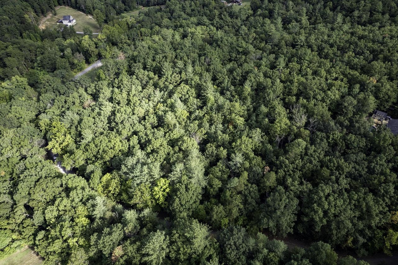 Lot D3 HOLIDAY HILL RD, LURAY, Virginia 22835, ,Land,Lot D3 HOLIDAY HILL RD,664081 MLS # 664081