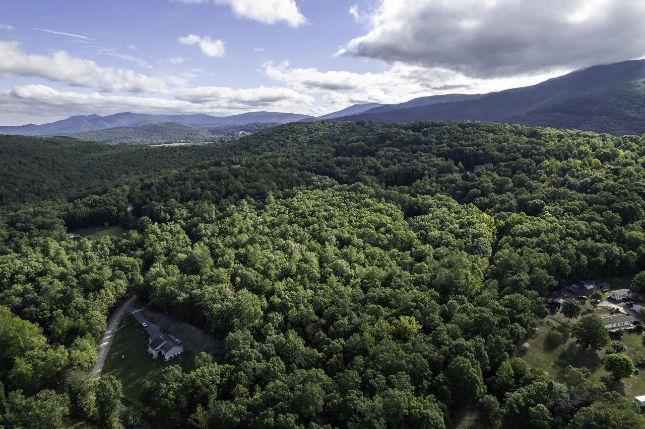 Lot D3 HOLIDAY HILL RD, LURAY, Virginia 22835, ,Land,Lot D3 HOLIDAY HILL RD,664081 MLS # 664081