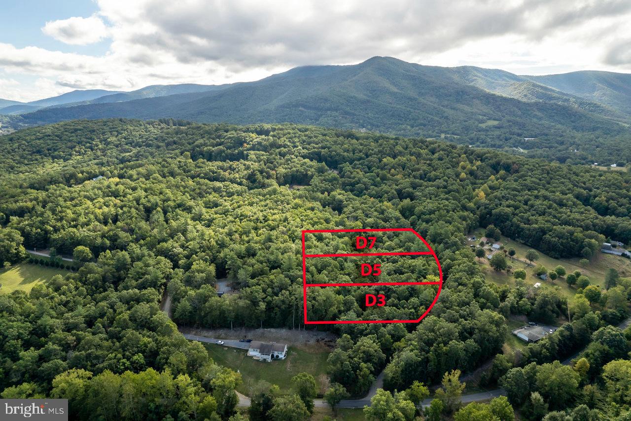 LOT D3, HOLIDAY HILL ROAD HOLIDAY HILL RD., LURAY, Virginia 22835, ,Land,For sale,LOT D3, HOLIDAY HILL ROAD HOLIDAY HILL RD.,VAPA2004870 MLS # VAPA2004870