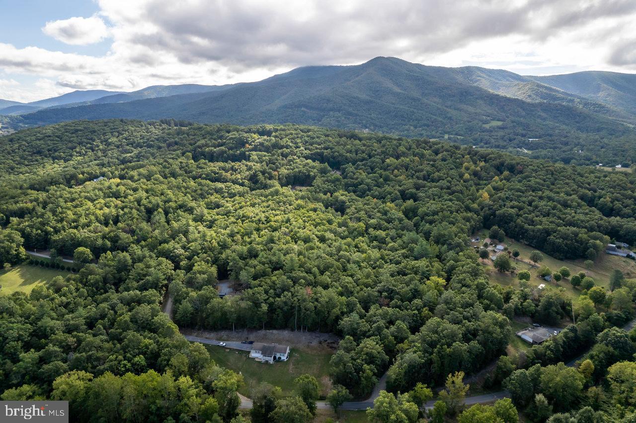 LOT D3, HOLIDAY HILL ROAD HOLIDAY HILL RD., LURAY, Virginia 22835, ,Land,For sale,LOT D3, HOLIDAY HILL ROAD HOLIDAY HILL RD.,VAPA2004870 MLS # VAPA2004870