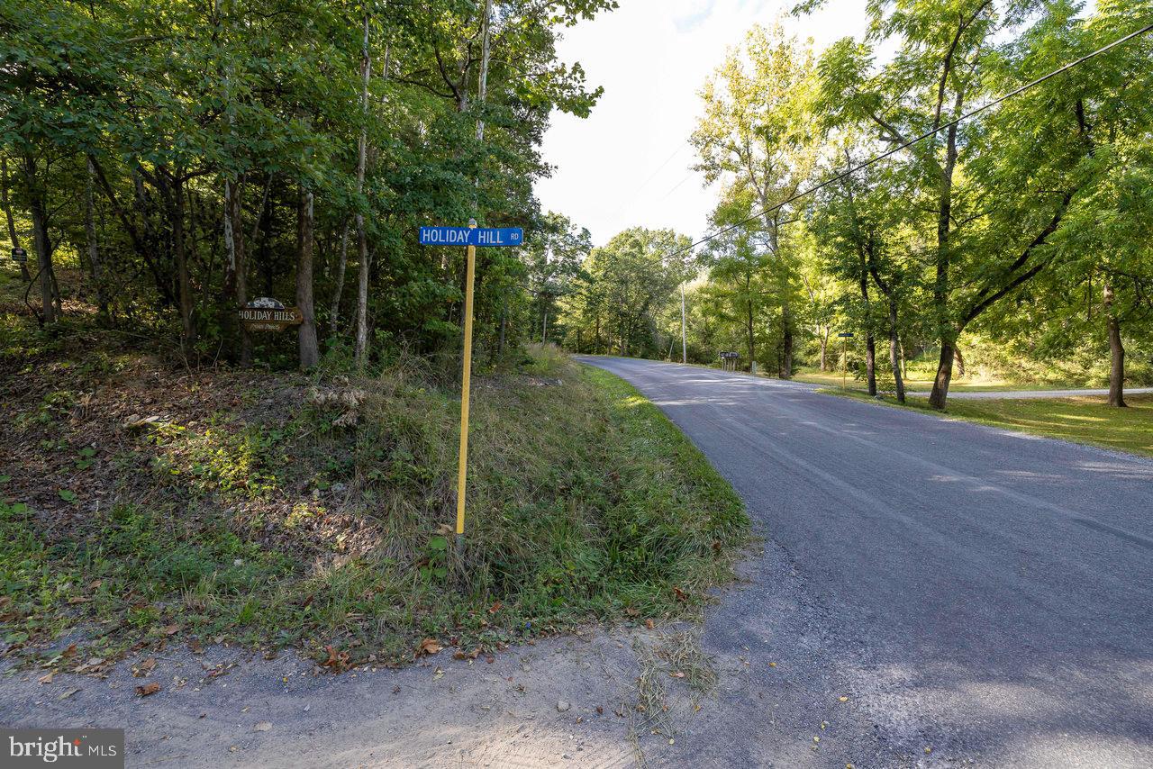 LOT D3, HOLIDAY HILL ROAD HOLIDAY HILL RD., LURAY, Virginia 22835, ,Land,For sale,LOT D3, HOLIDAY HILL ROAD HOLIDAY HILL RD.,VAPA2004870 MLS # VAPA2004870
