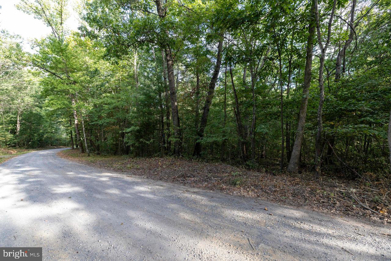 LOT D3, HOLIDAY HILL ROAD HOLIDAY HILL RD., LURAY, Virginia 22835, ,Land,For sale,LOT D3, HOLIDAY HILL ROAD HOLIDAY HILL RD.,VAPA2004870 MLS # VAPA2004870