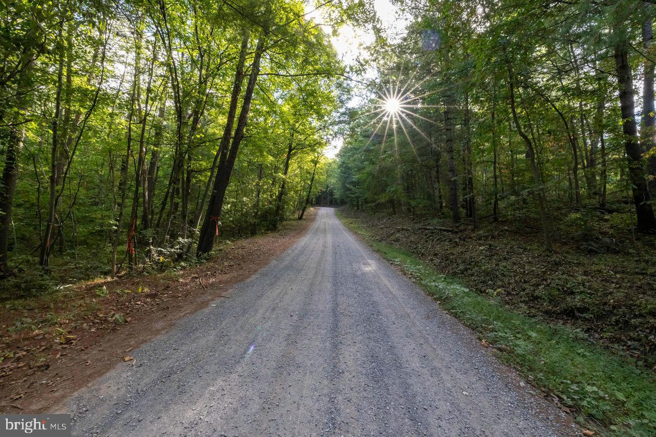 LOT D3, HOLIDAY HILL ROAD HOLIDAY HILL RD., LURAY, Virginia 22835, ,Land,For sale,LOT D3, HOLIDAY HILL ROAD HOLIDAY HILL RD.,VAPA2004870 MLS # VAPA2004870