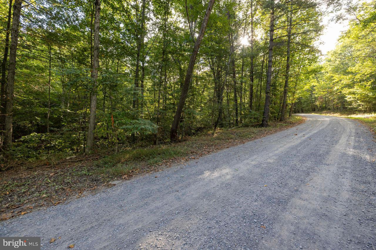 LOT D3, HOLIDAY HILL ROAD HOLIDAY HILL RD., LURAY, Virginia 22835, ,Land,For sale,LOT D3, HOLIDAY HILL ROAD HOLIDAY HILL RD.,VAPA2004870 MLS # VAPA2004870