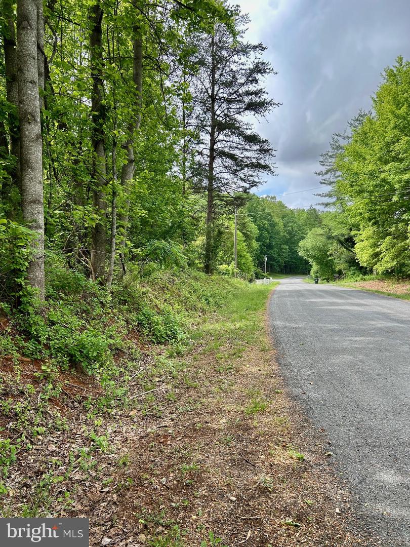 CAMERON RD, GORDONSVILLE, Virginia 22942, ,Land,For sale,CAMERON RD,VAOR2009596 MLS # VAOR2009596