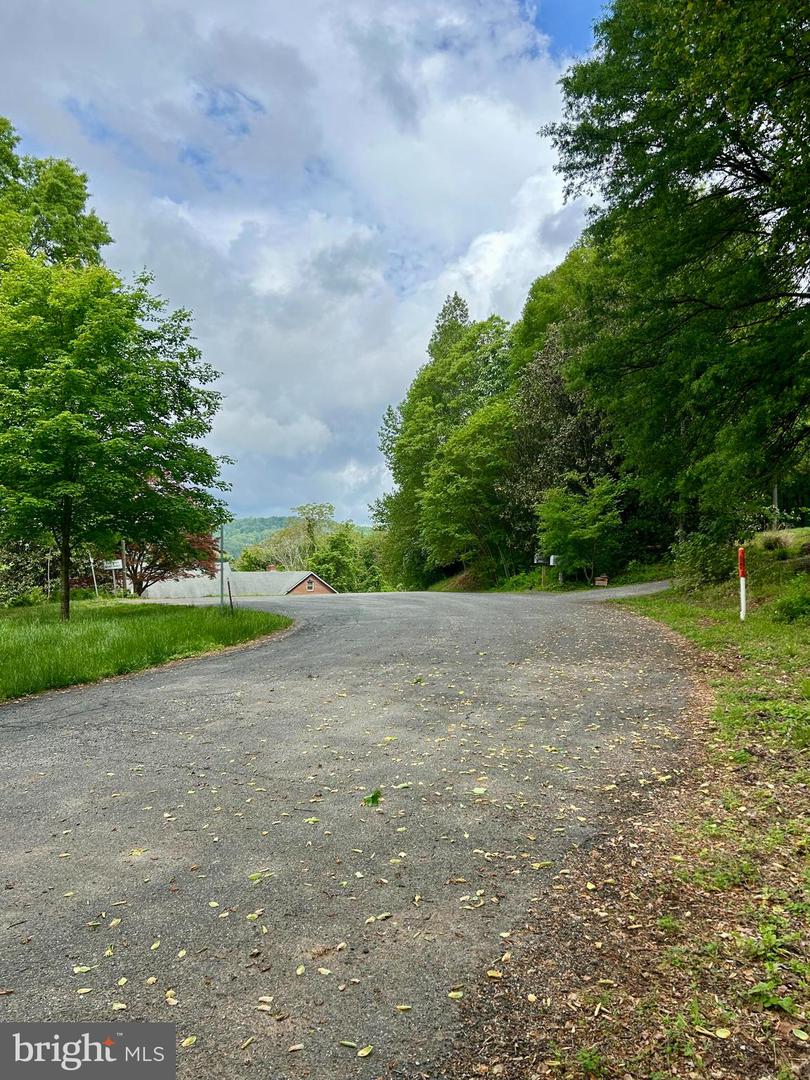 CAMERON RD, GORDONSVILLE, Virginia 22942, ,Land,For sale,CAMERON RD,VAOR2009596 MLS # VAOR2009596