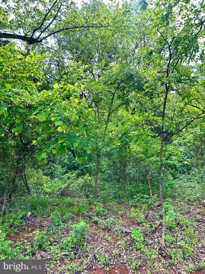 CAMERON RD, GORDONSVILLE, Virginia 22942, ,Land,For sale,CAMERON RD,VAOR2009596 MLS # VAOR2009596