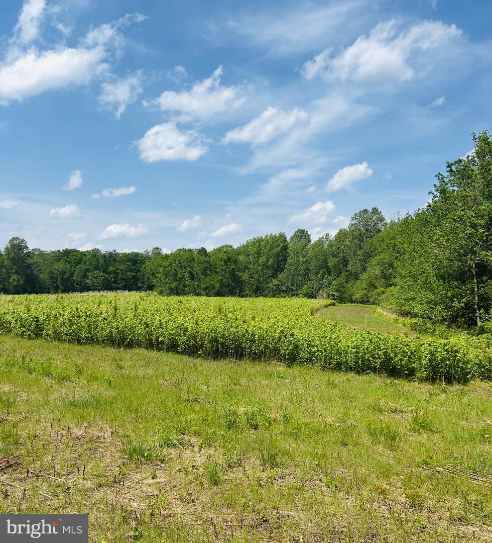 LOT 1A KINGS HWY, MONTROSS, Virginia 22520, ,Land,For sale,LOT 1A KINGS HWY,VAWE2008844 MLS # VAWE2008844