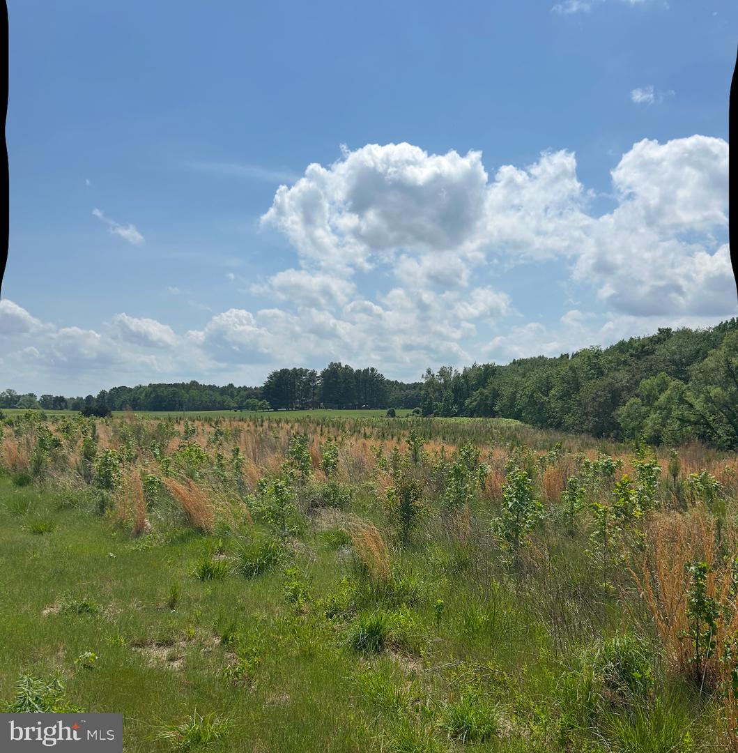 LOT 1A KINGS HWY, MONTROSS, Virginia 22520, ,Land,For sale,LOT 1A KINGS HWY,VAWE2008844 MLS # VAWE2008844