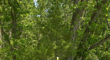 LOT 1A KINGS HWY, MONTROSS, Virginia 22520, ,Land,For sale,LOT 1A KINGS HWY,VAWE2008844 MLS # VAWE2008844