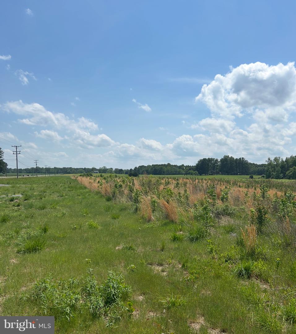 LOT 2B KINGS HWY, MONTROSS, Virginia 22520, ,Land,For sale,LOT 2B KINGS HWY,VAWE2008846 MLS # VAWE2008846