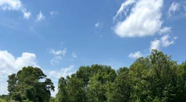 LOT 2B KINGS HWY, MONTROSS, Virginia 22520, ,Land,For sale,LOT 2B KINGS HWY,VAWE2008846 MLS # VAWE2008846