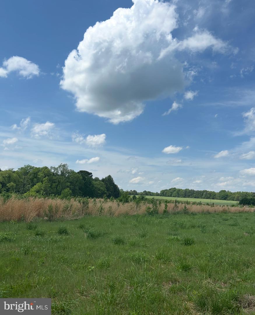 LOT 3C KINGS HWY, MONTROSS, Virginia 22520, ,Land,For sale,LOT 3C KINGS HWY,VAWE2008848 MLS # VAWE2008848
