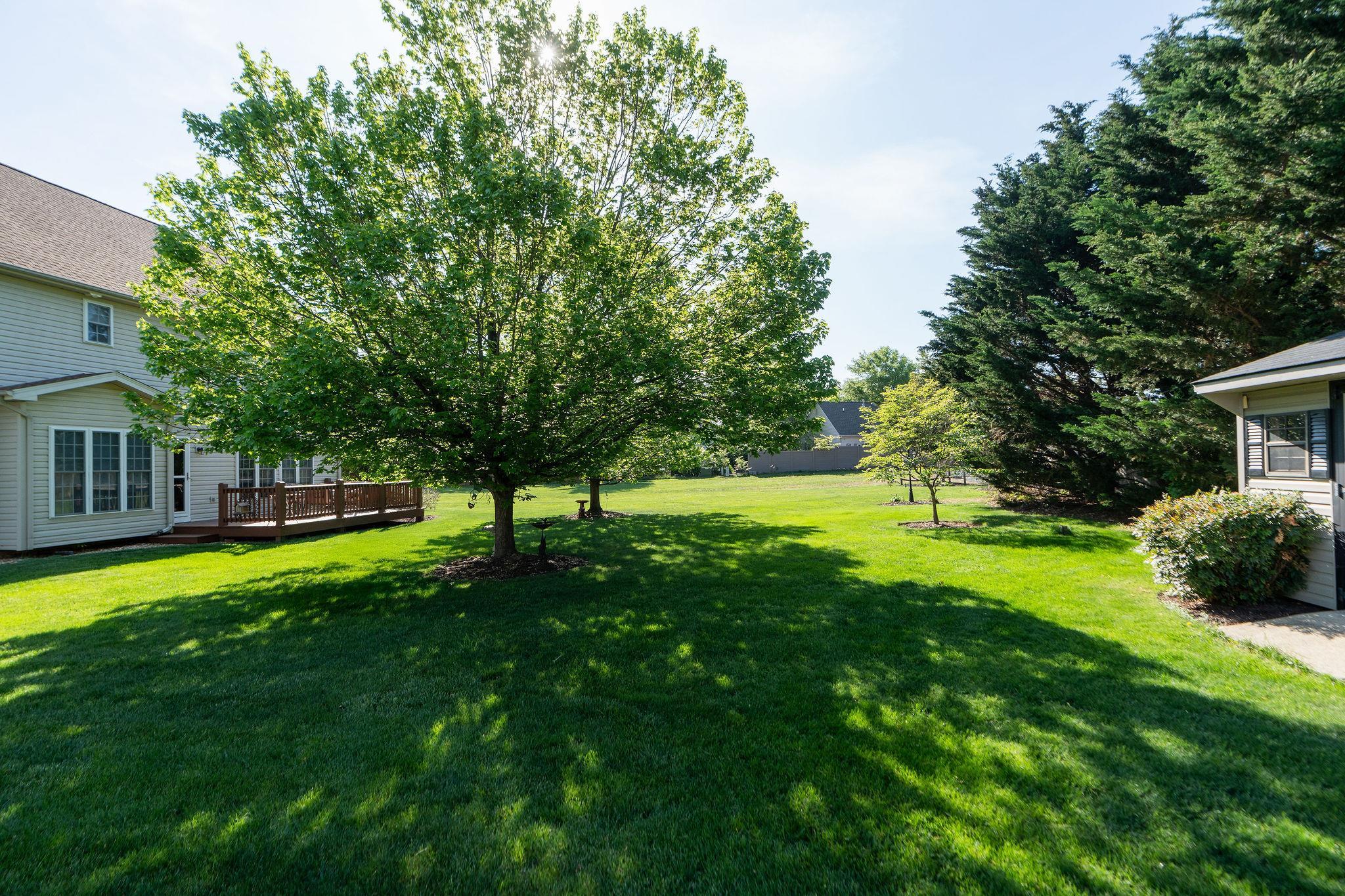 116 BUCKINGHAM PL, WAYNESBORO, Virginia 22980, 4 Bedrooms Bedrooms, ,2 BathroomsBathrooms,Residential,116 BUCKINGHAM PL,664083 MLS # 664083