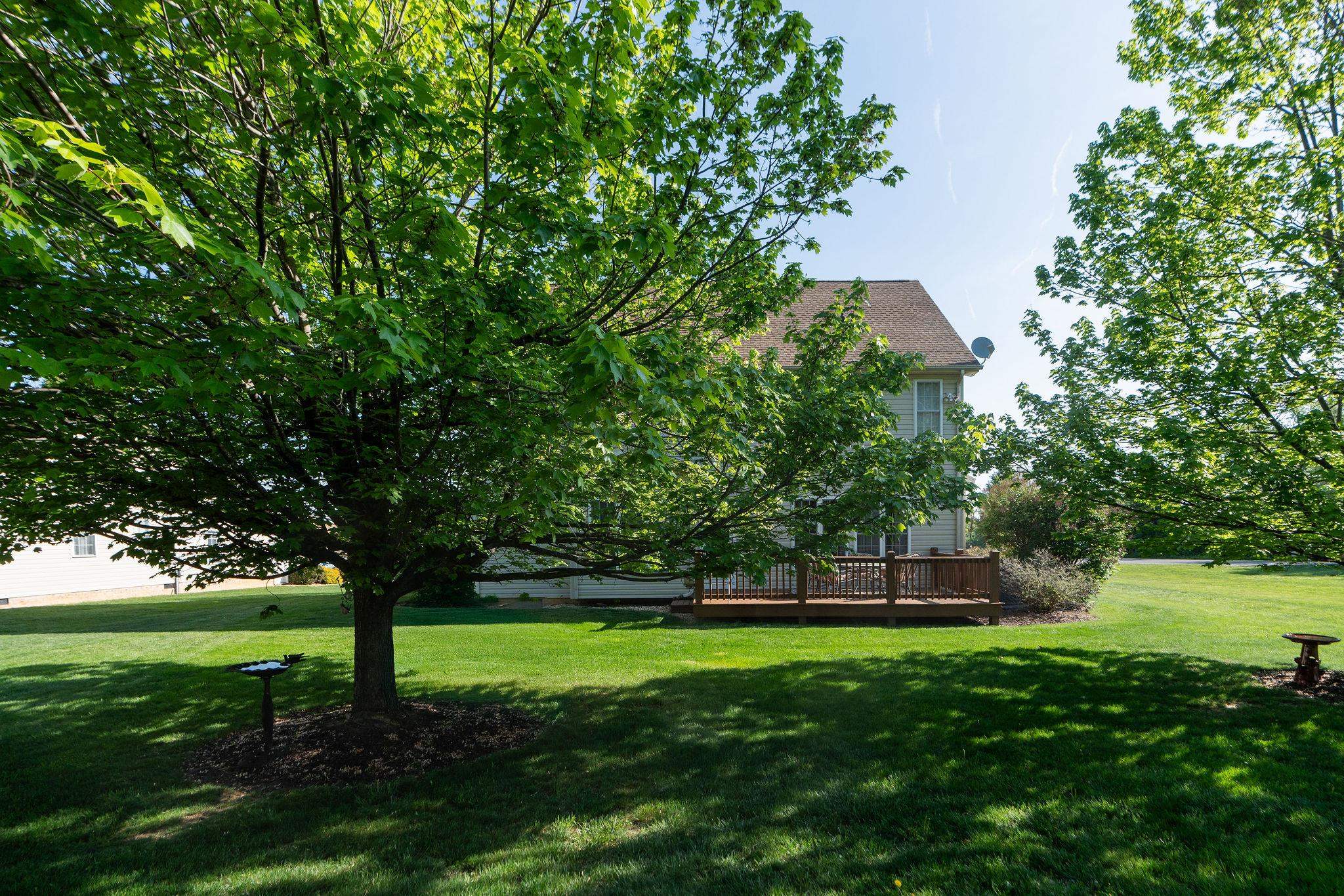 116 BUCKINGHAM PL, WAYNESBORO, Virginia 22980, 4 Bedrooms Bedrooms, ,2 BathroomsBathrooms,Residential,116 BUCKINGHAM PL,664083 MLS # 664083