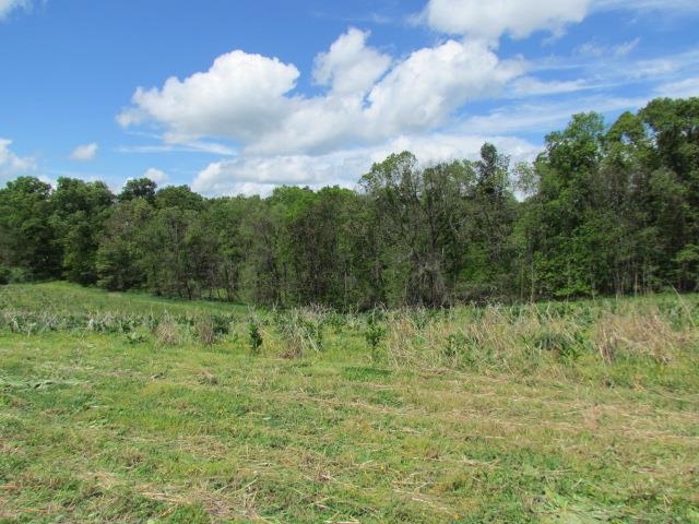 TBD TRINITY CHURCH RD, ROCKINGHAM, Virginia 22802, ,Land,TBD TRINITY CHURCH RD,664133 MLS # 664133