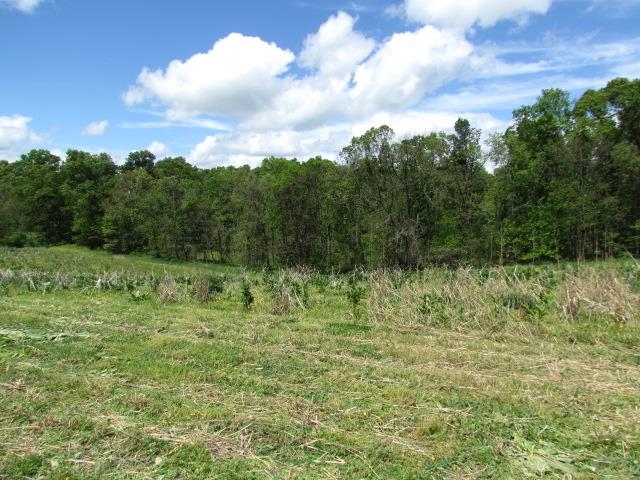 TBD TRINITY CHURCH RD, ROCKINGHAM, Virginia 22802, ,Land,TBD TRINITY CHURCH RD,664133 MLS # 664133