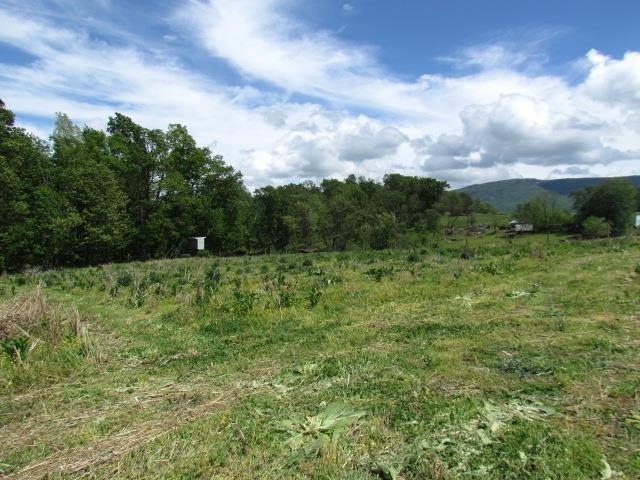 TBD TRINITY CHURCH RD, ROCKINGHAM, Virginia 22802, ,Land,TBD TRINITY CHURCH RD,664133 MLS # 664133