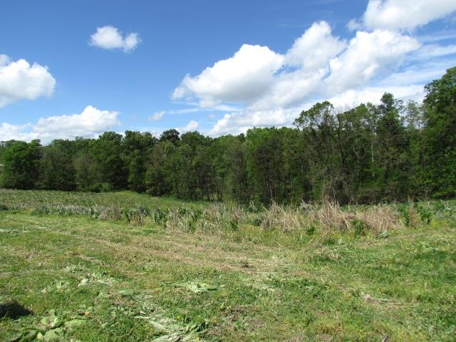 TBD TRINITY CHURCH RD, ROCKINGHAM, Virginia 22802, ,Land,TBD TRINITY CHURCH RD,664133 MLS # 664133