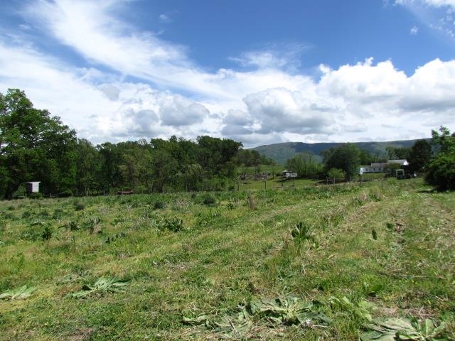 TBD TRINITY CHURCH RD, ROCKINGHAM, Virginia 22802, ,Land,TBD TRINITY CHURCH RD,664133 MLS # 664133